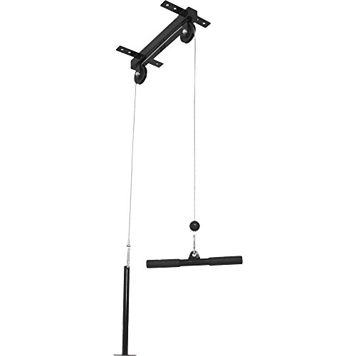 Gorilla Sports 10000293 - Soporte de Techo para Entrenamiento de bíceps y dorsales