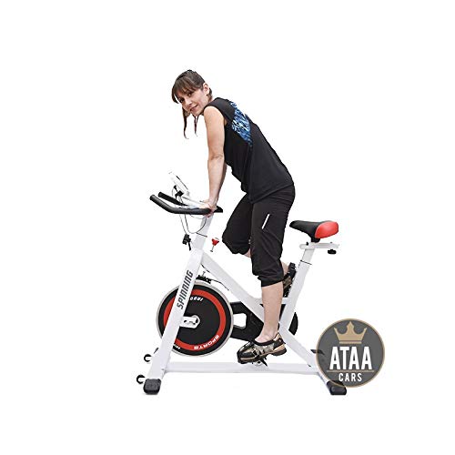 ATAA Bici Spinning con Pantalla LCD, Manillar y Asiento Ajustable Semi Profesional