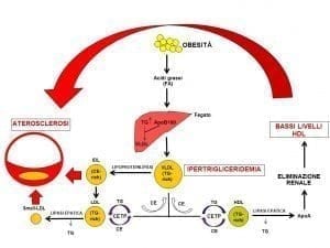 metabolico sindrome