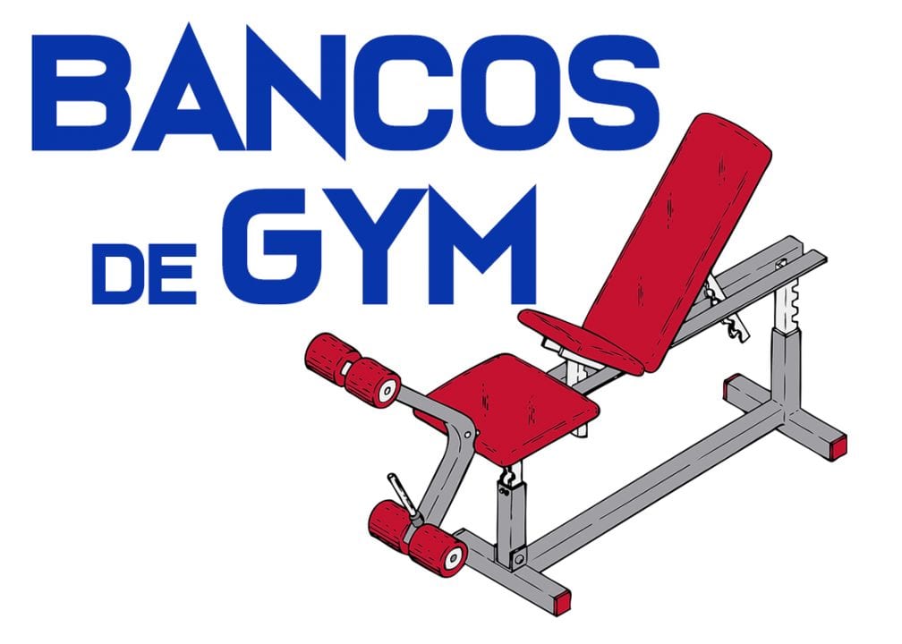 bancos musculacion