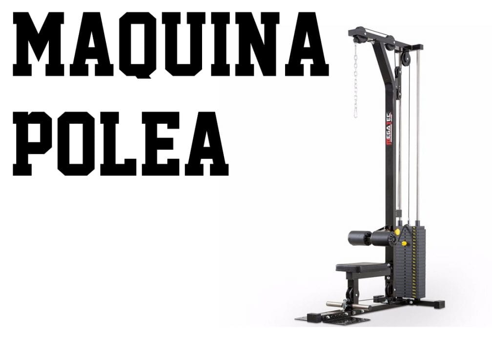 gimnasio poleas