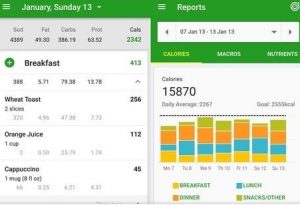 fatsecret app